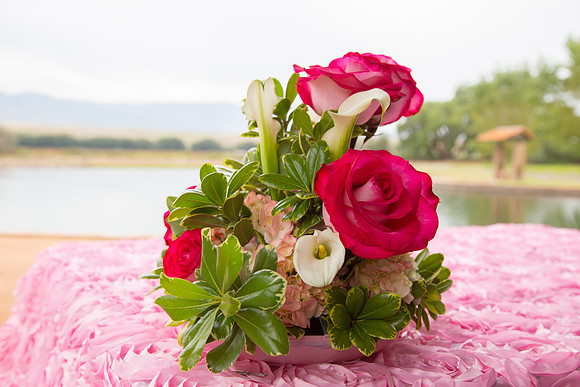 Sandia Lakes, Albuquerque, New Mexico Wedding